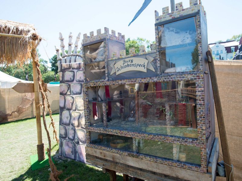 Mäuseburg - Mäusezirkus – Bild 6