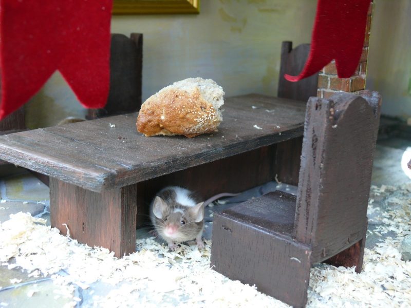 Mäuseburg - Mäusezirkus – Bild 4