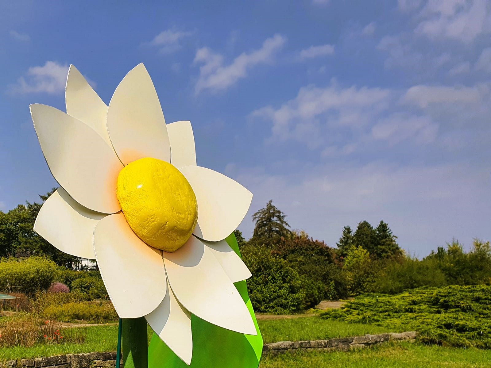 Blume XXL Margerite ∗ No.15 – Bild 3