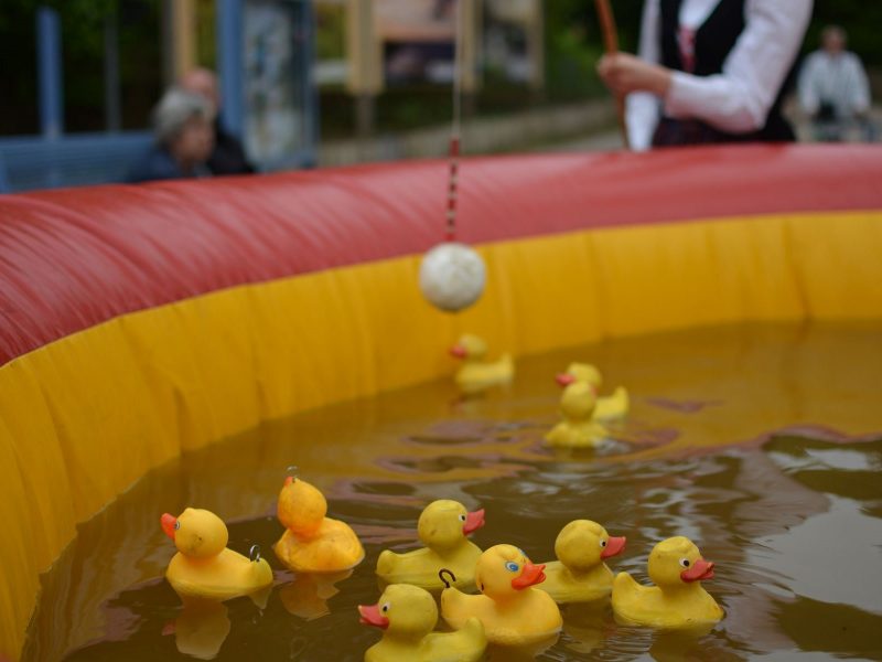 Pool angeln - Enten angeln XXL ∗ No.3 – Bild 2