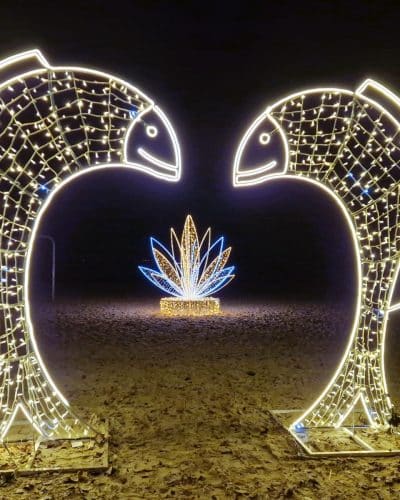 Fische 4536 Leuchtende Fische Lichtskulptur