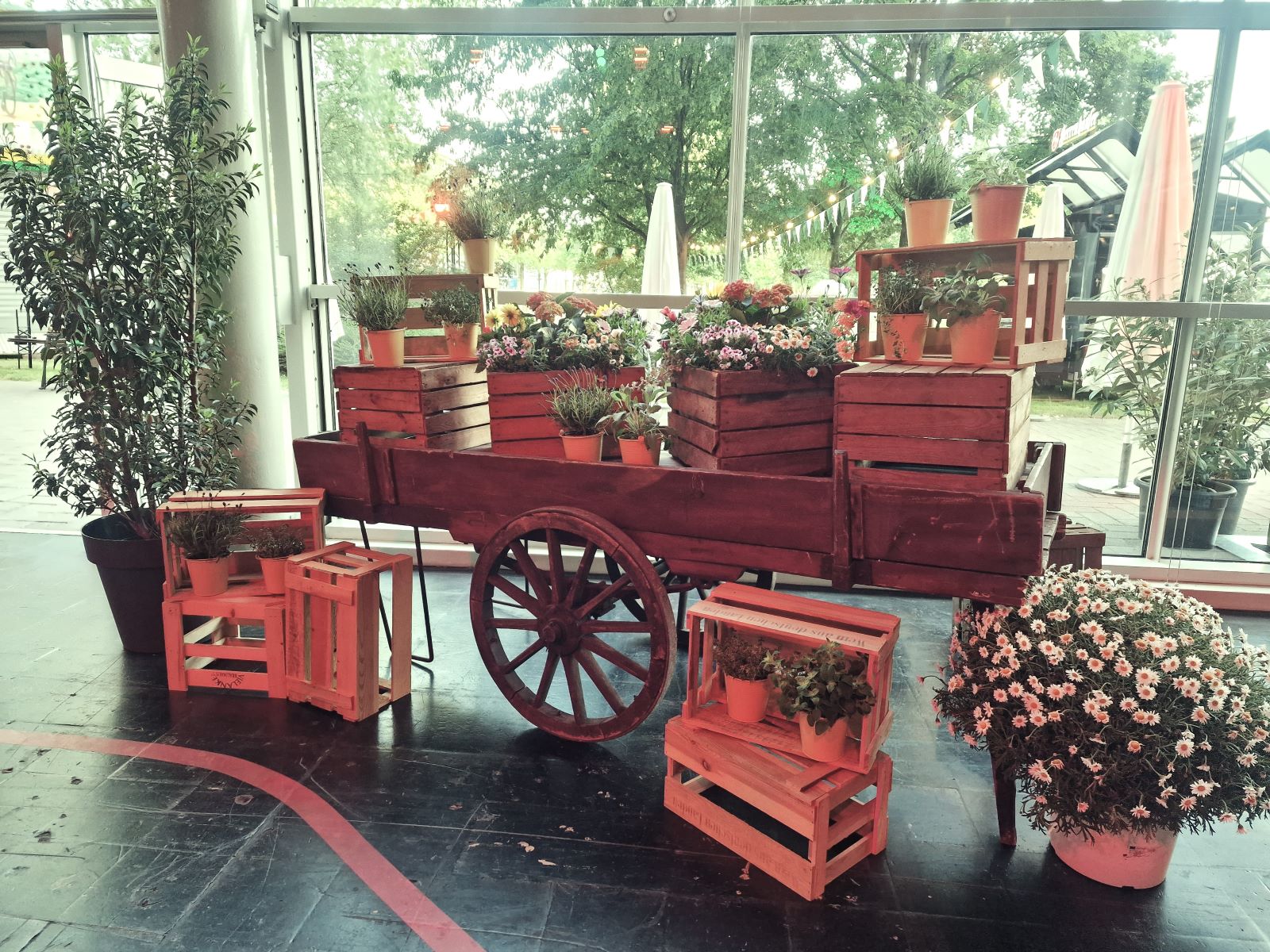 Holz Handkarren - Gemüsekarren ∗ No.1 – Bild 8