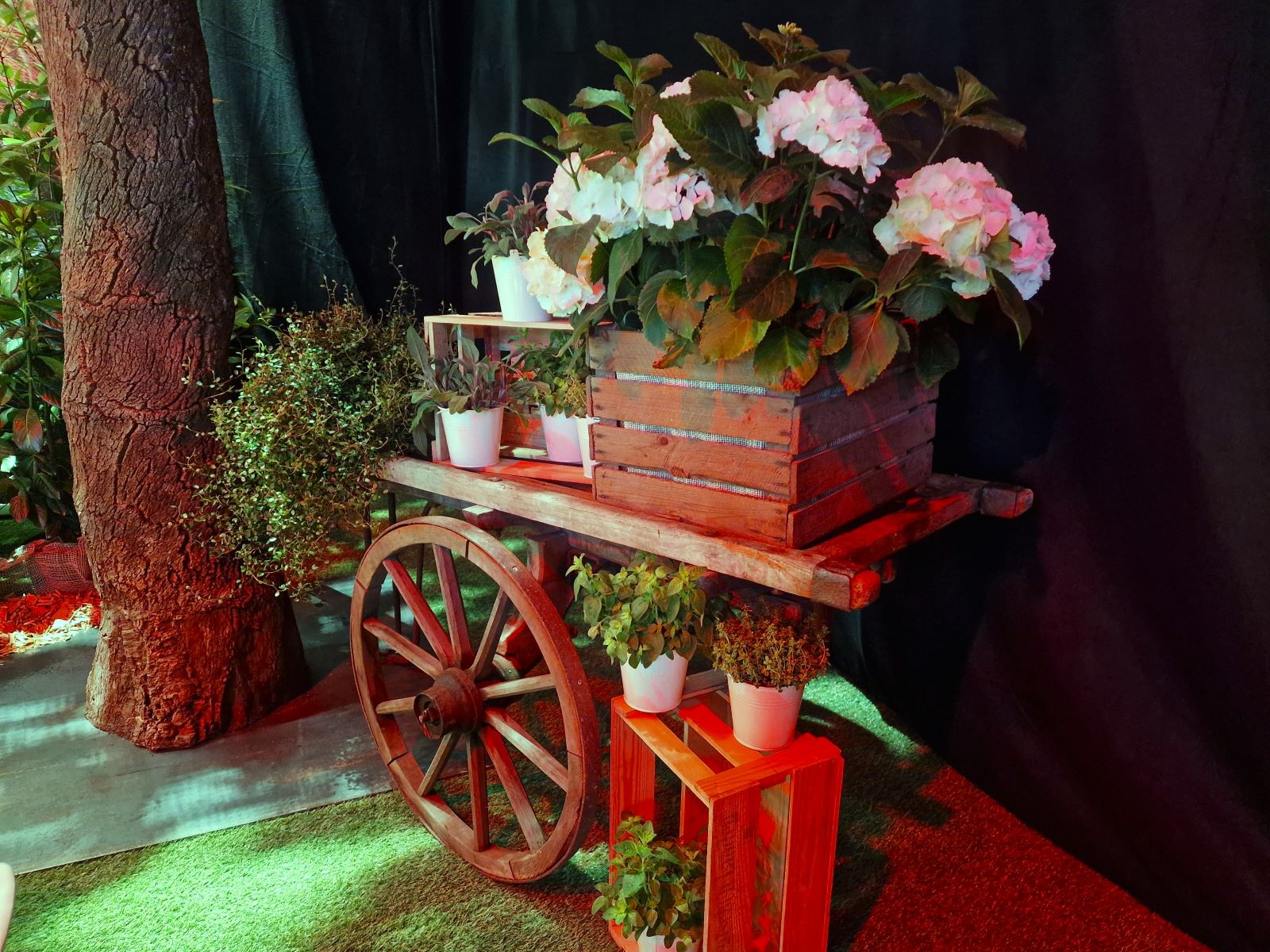 Holz Handkarren ∗ No.4 – Bild 2