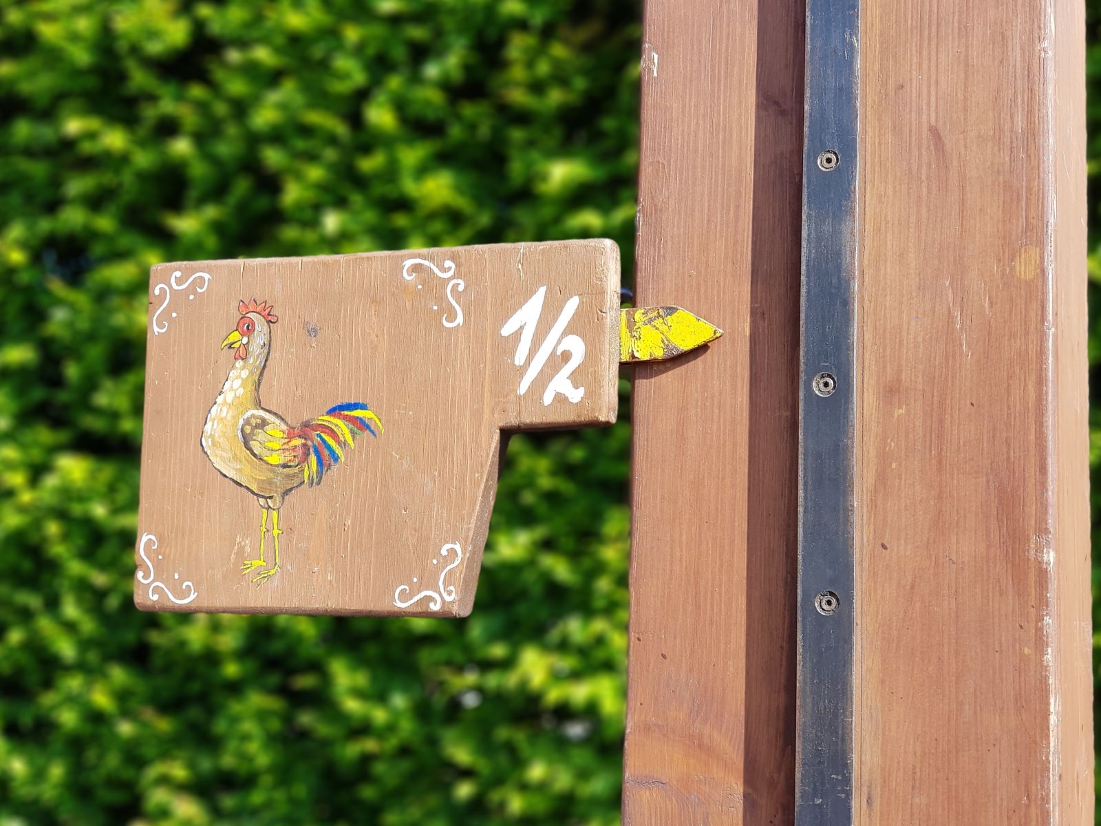 Hau den Hahn ( Lukas ) - für Erwachsene ∗ No.2 – Bild 3