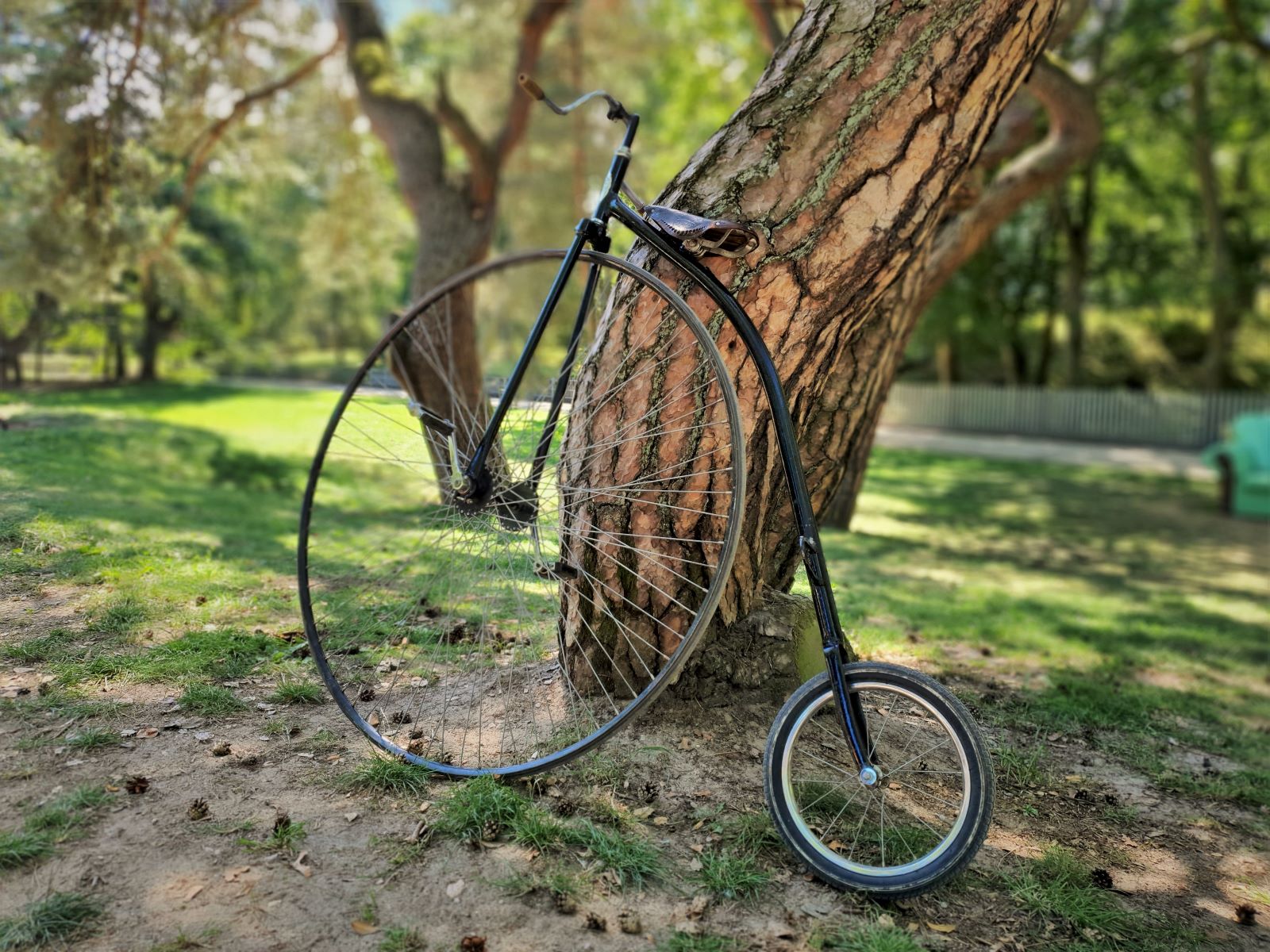 Hochrad 1880 ∗ No.4 – Bild 2