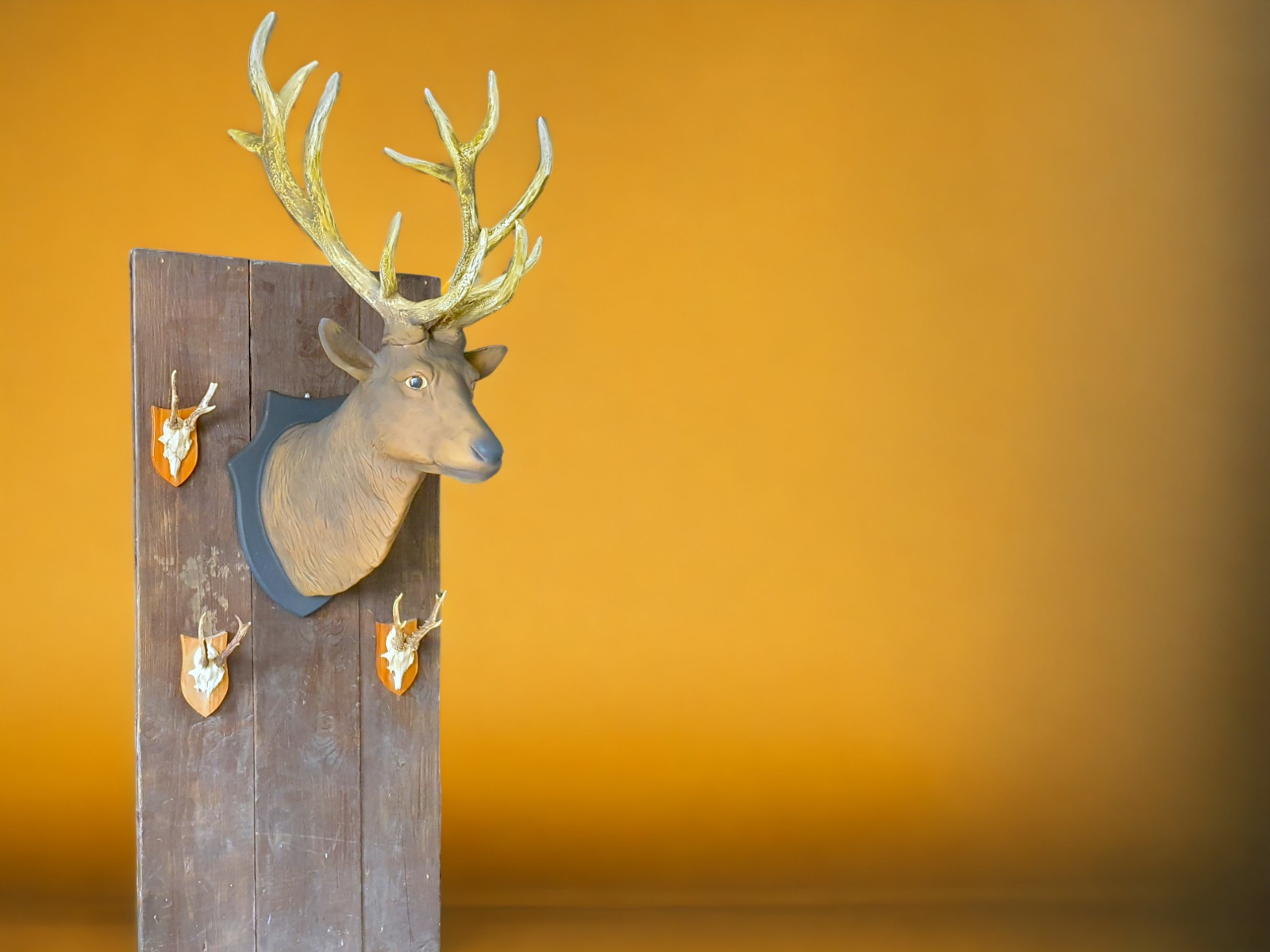 Wurfspiel - Hüte werfen