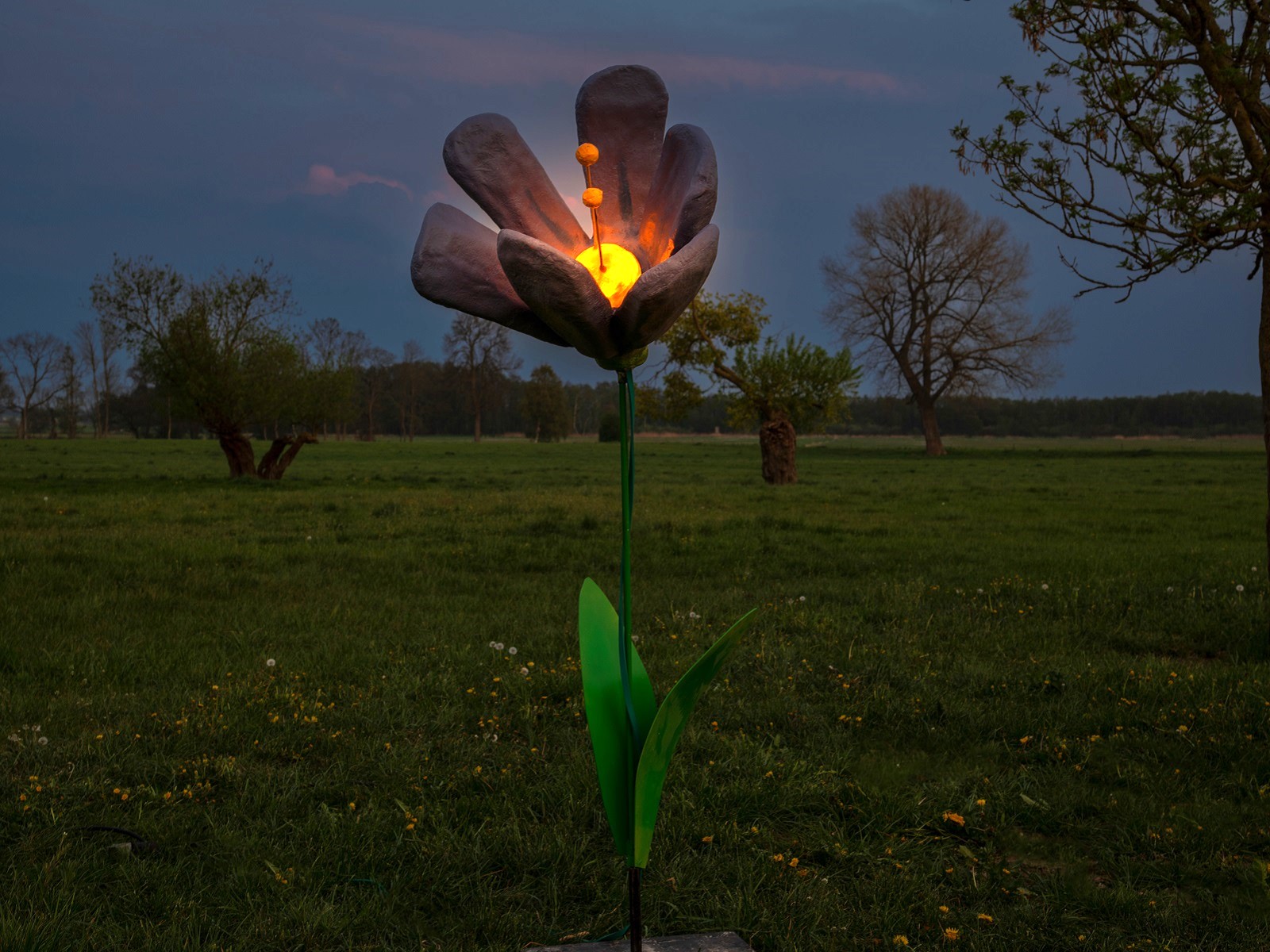 Blume XL beleuchtet ∗ No.2 – Bild 3