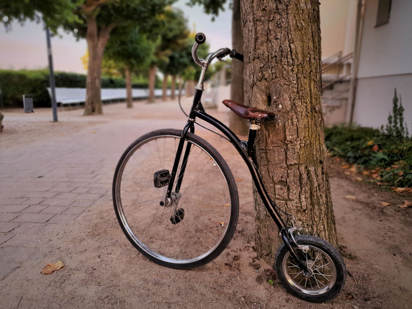 Kinder Hochrad 1880 ∗ No.5