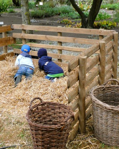 Die Suche im Strohhaufen