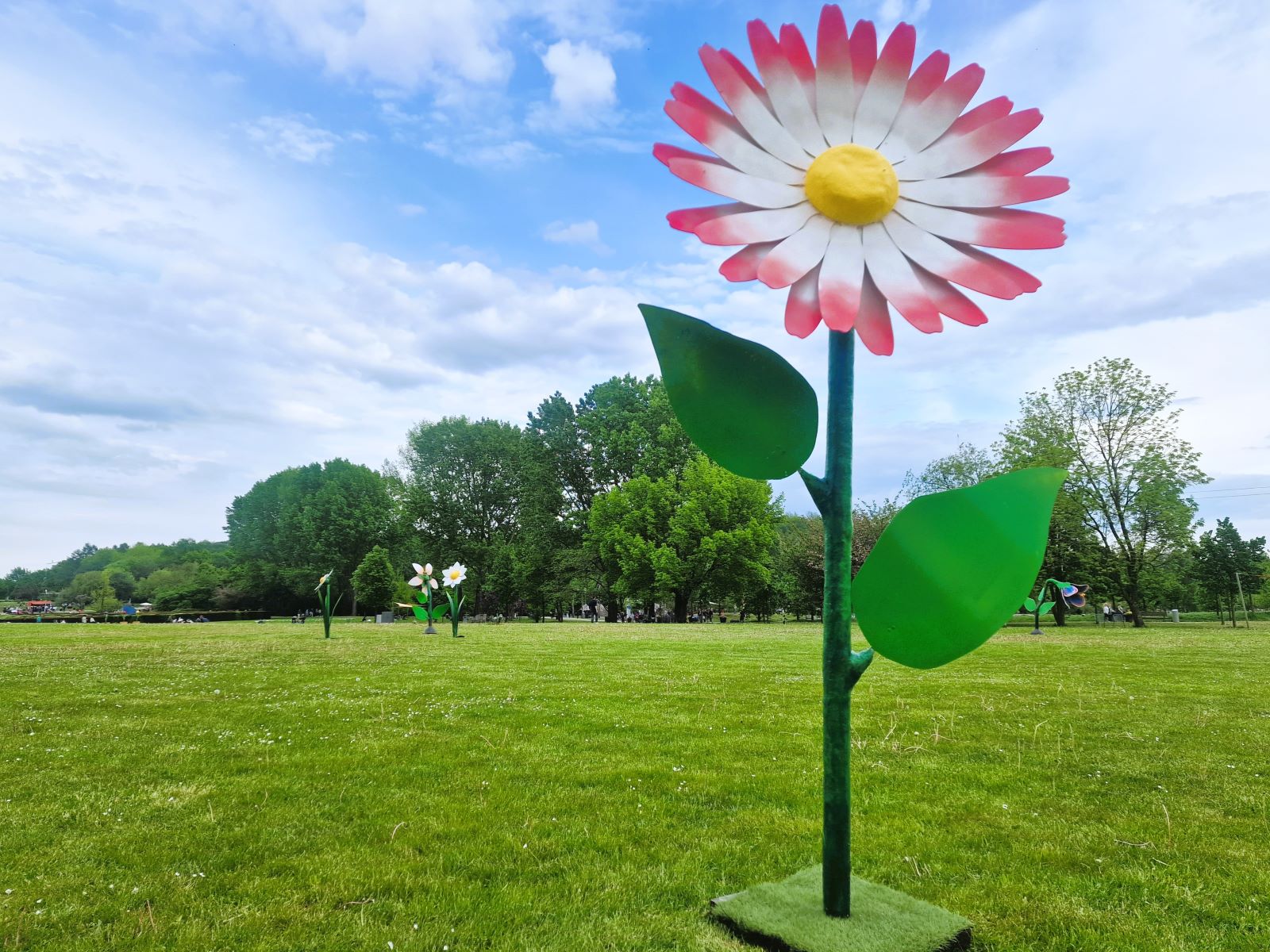 Anemone XXL - Riesenblume ∗ No.20