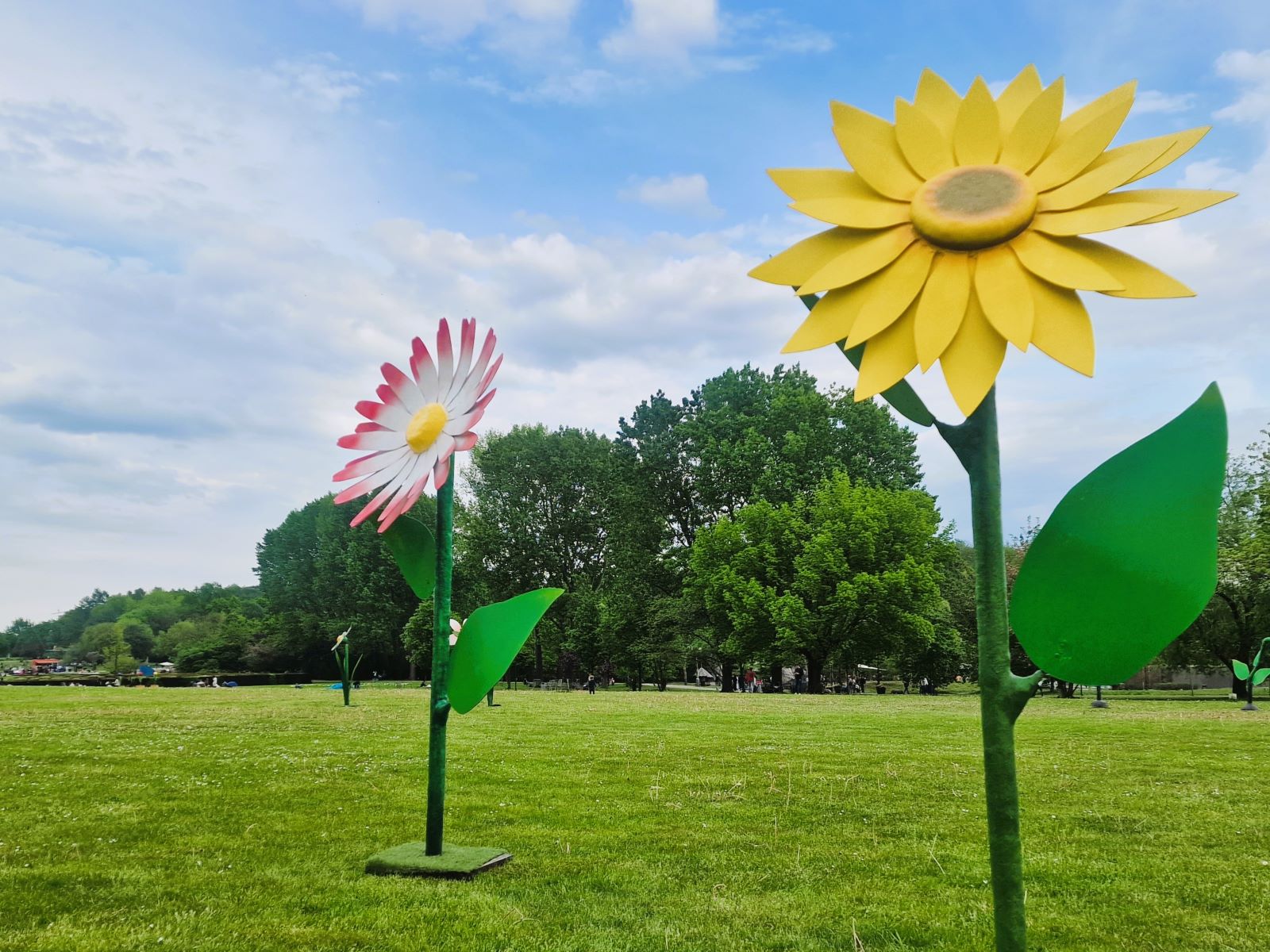 Anemone XXL - Riesenblume ∗ No.20 – Bild 3