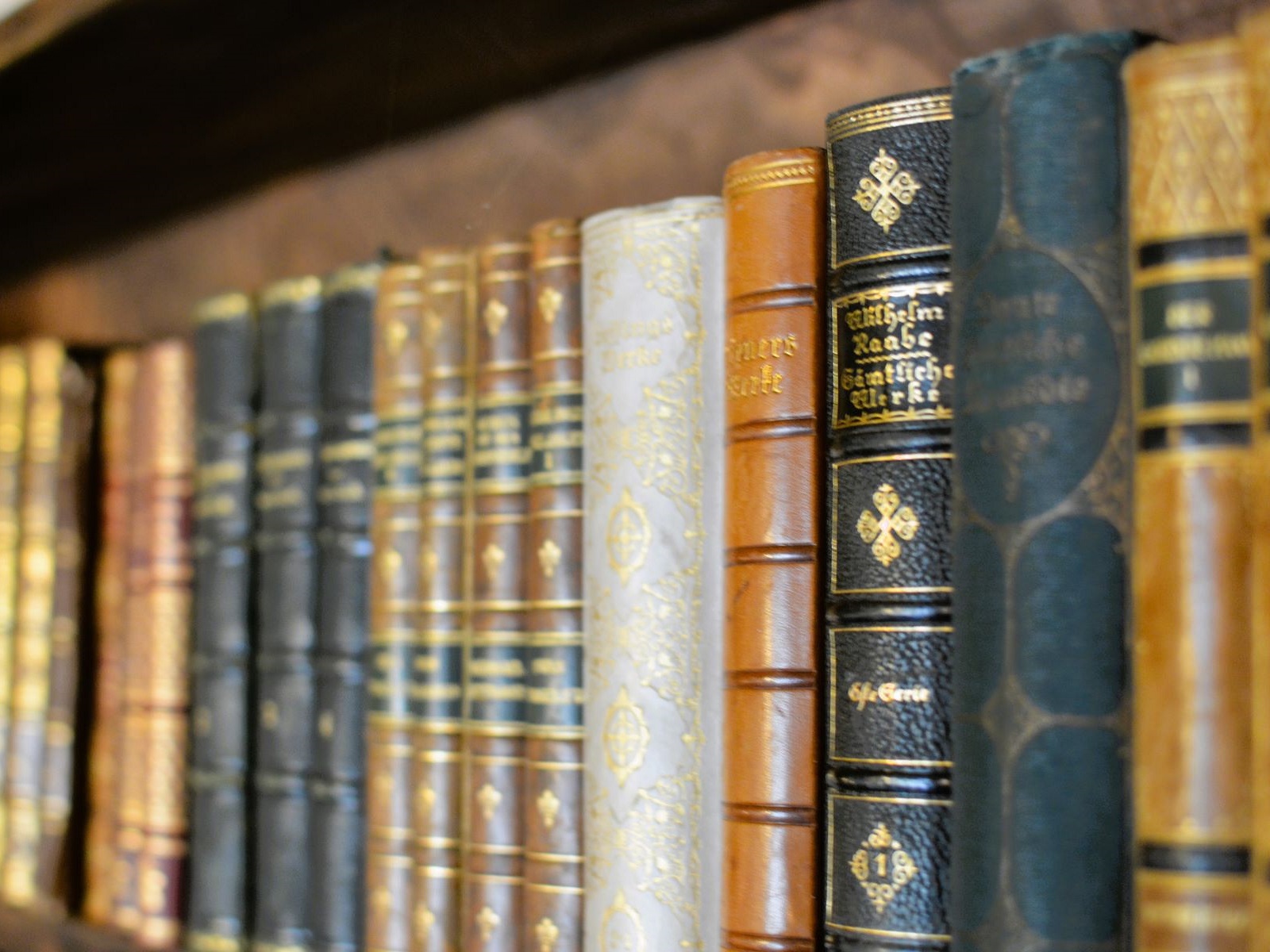 Bücher Ledereinband ∗ No.1