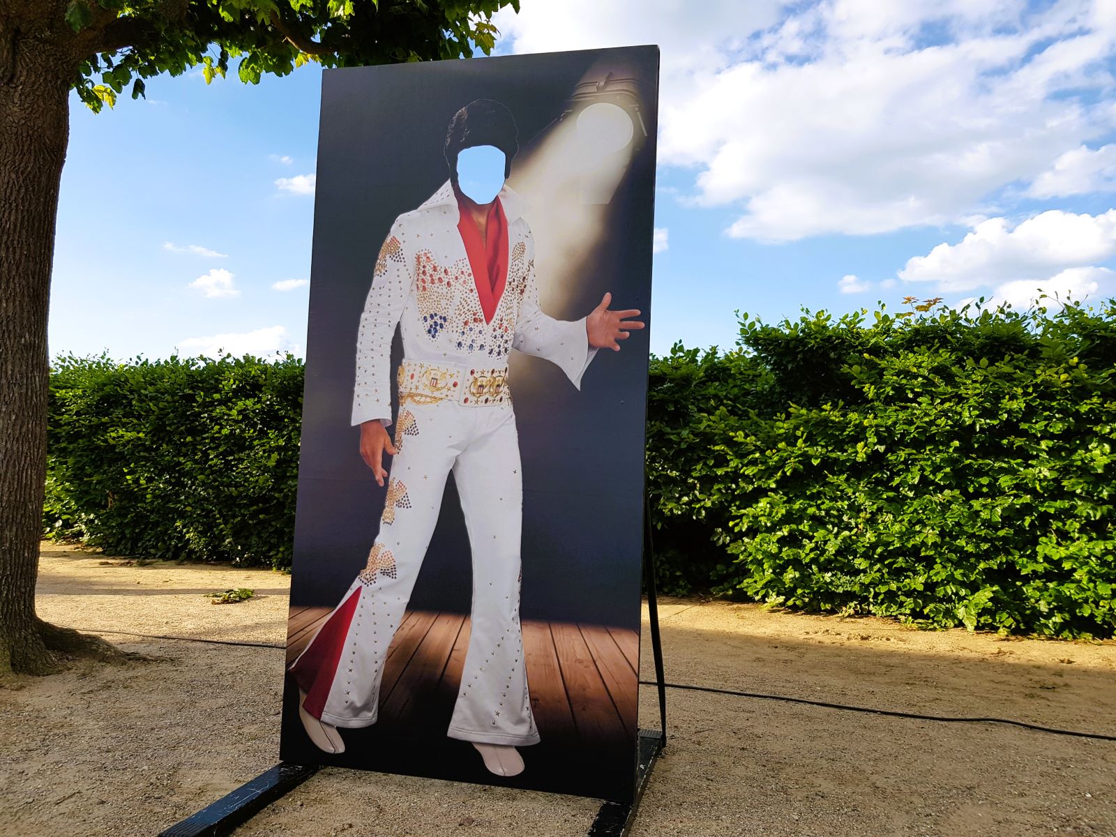 Fotowand - Elvis – Bild 2