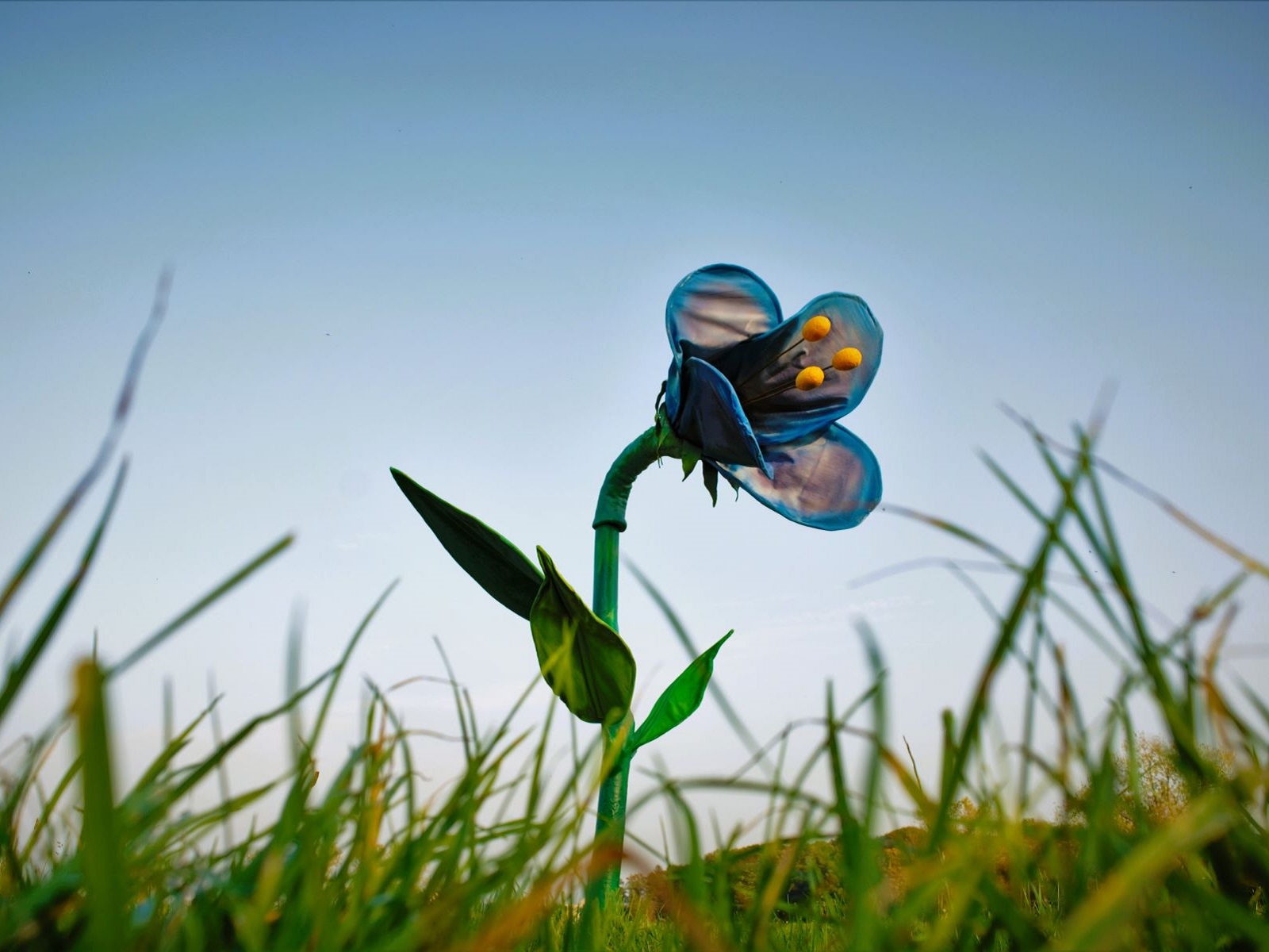 Glockenblume XXL Textil - Riesenblume ∗ No.24 – Bild 3