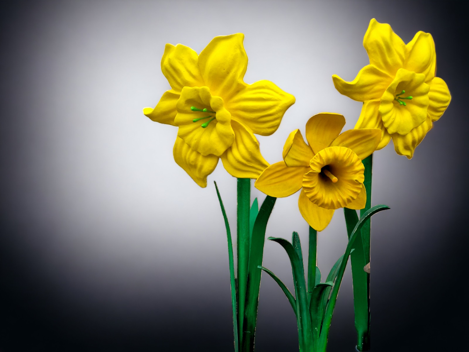 Osterglocke XXL - Glockenblume ∗ No.26