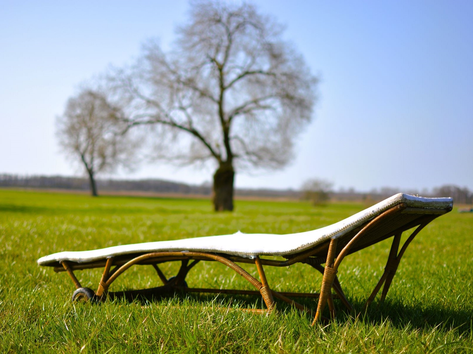 Vintage Korbliege – Bild 2