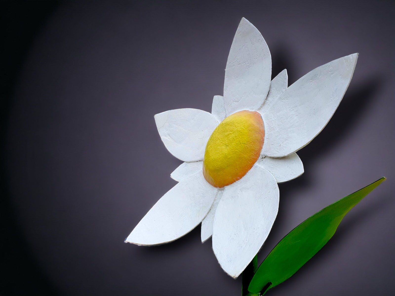 Blume XXL - Big Size Margerite ∗ No.14