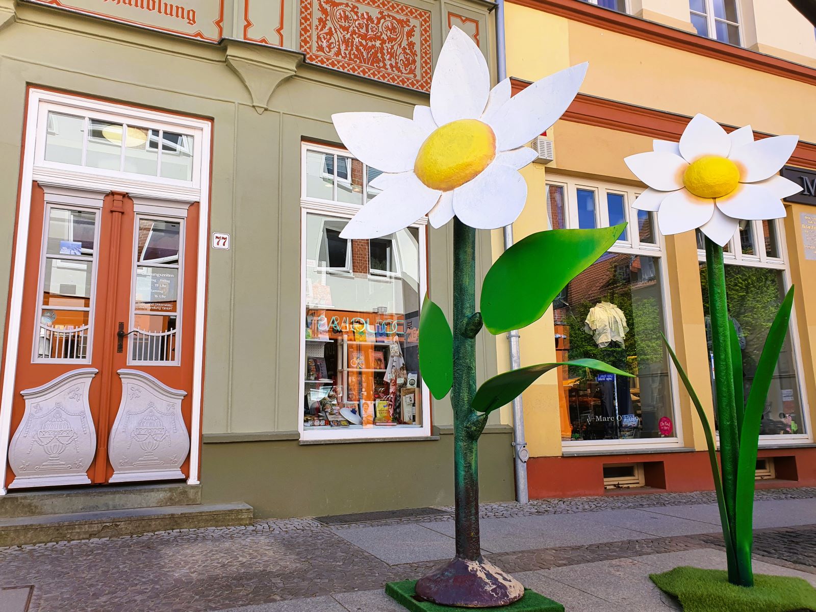 Blume XXL - Big Size Margerite ∗ No.14 – Bild 4