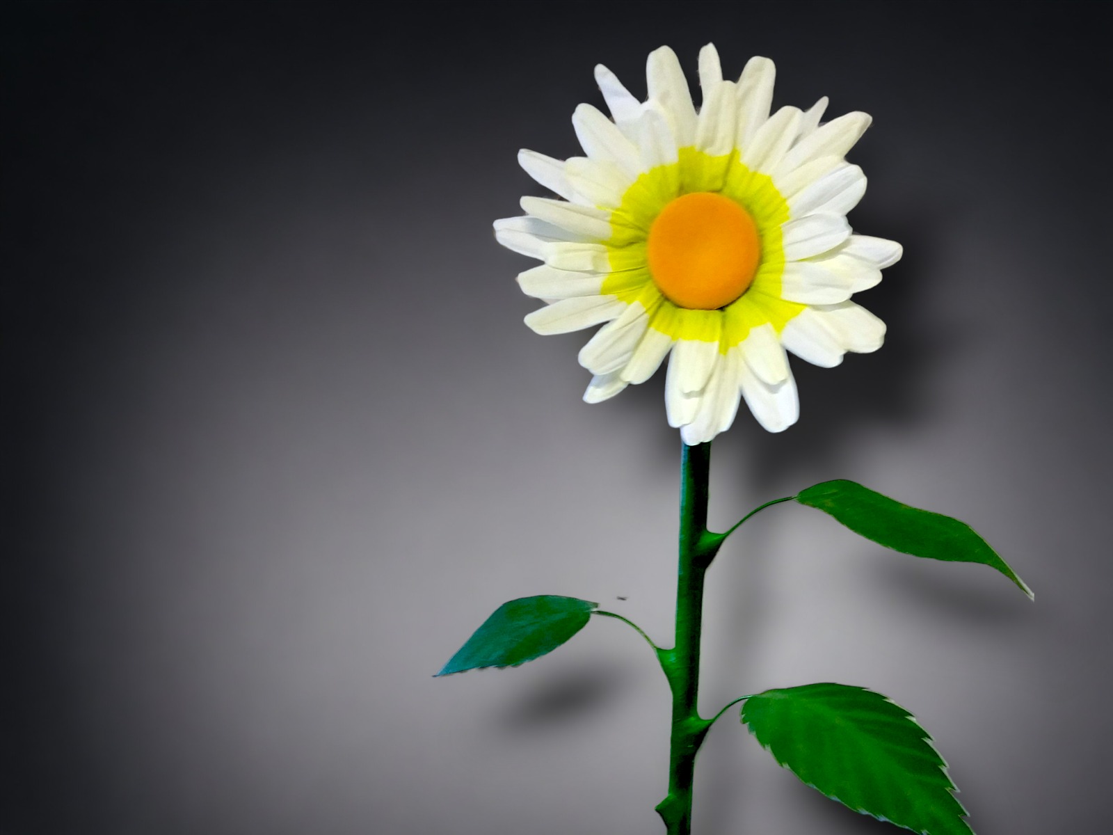 Margerite XXL Textil - Riesenblume ∗ No.23