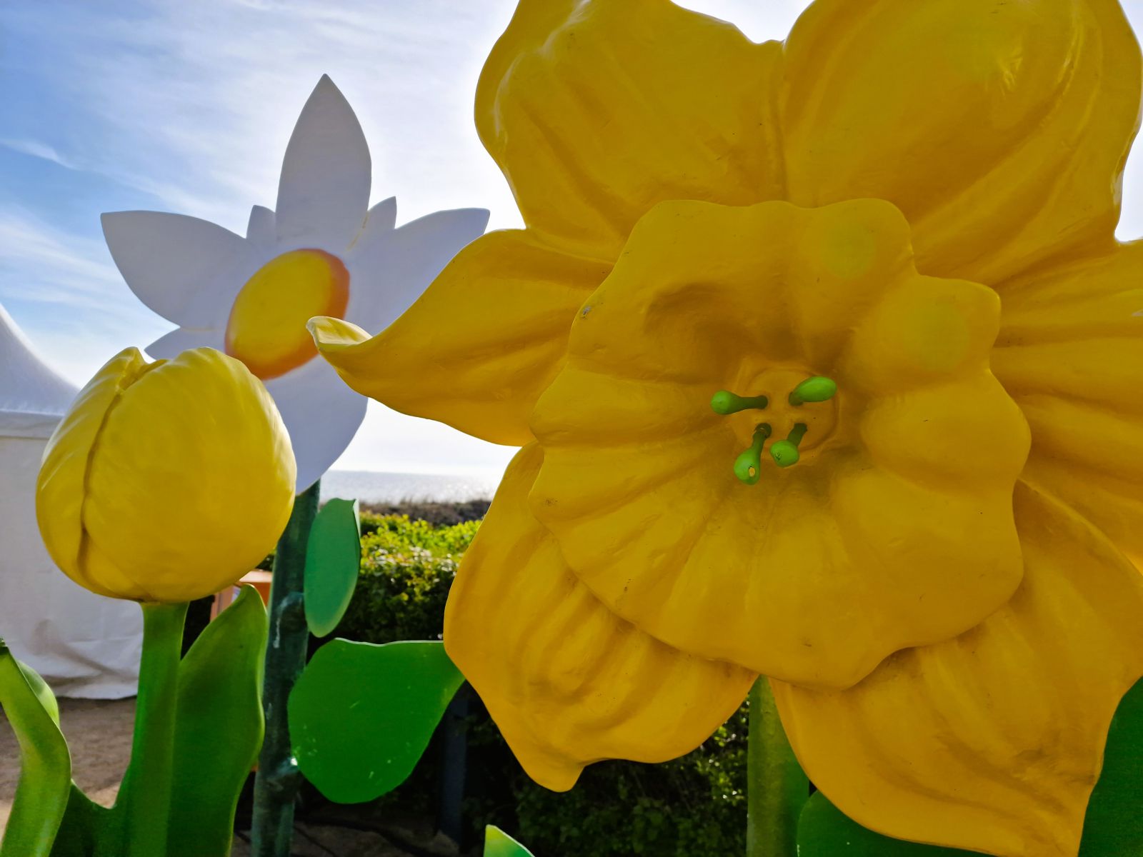 Frühlingsblumen für Events