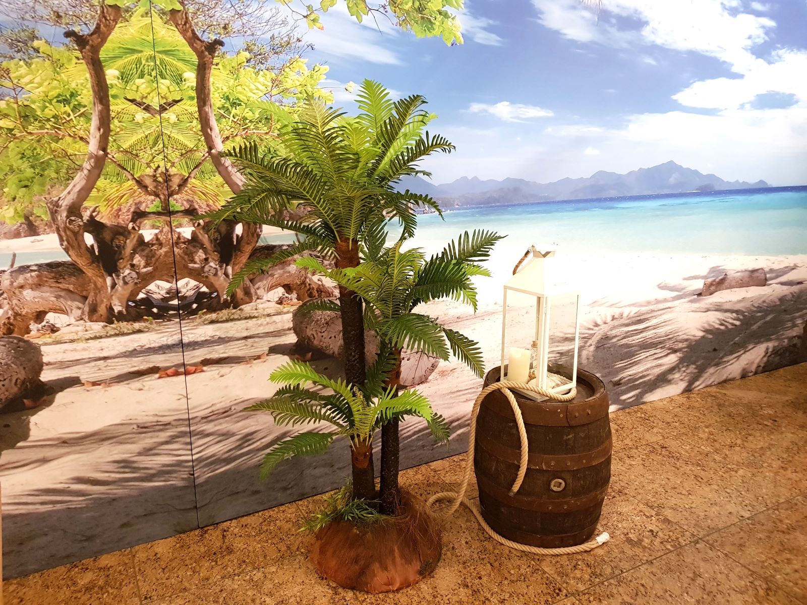 Palme - Farnpalme ∗ No.4