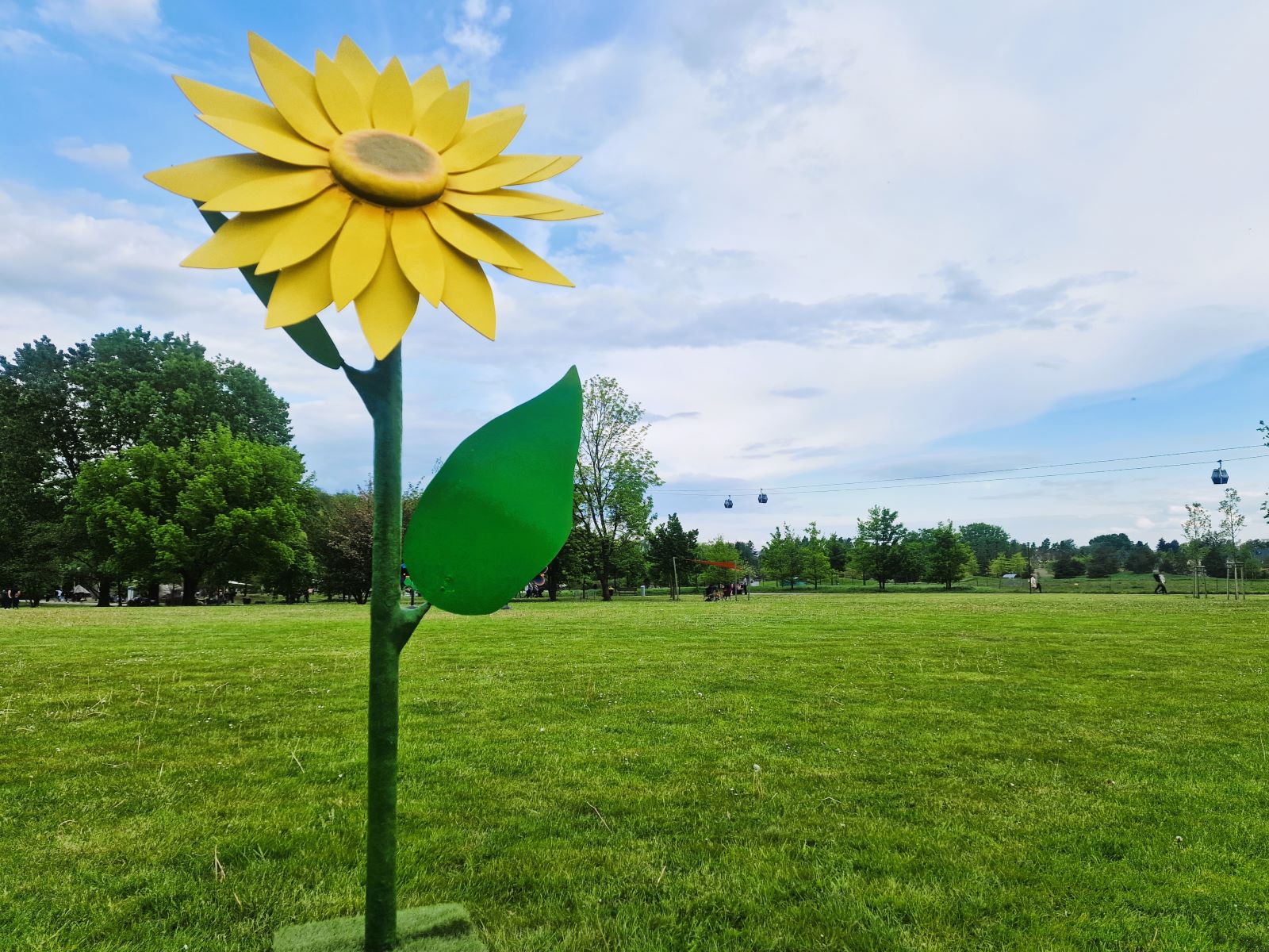 Sonnenblume XXL - Riesenblume ∗ No.19