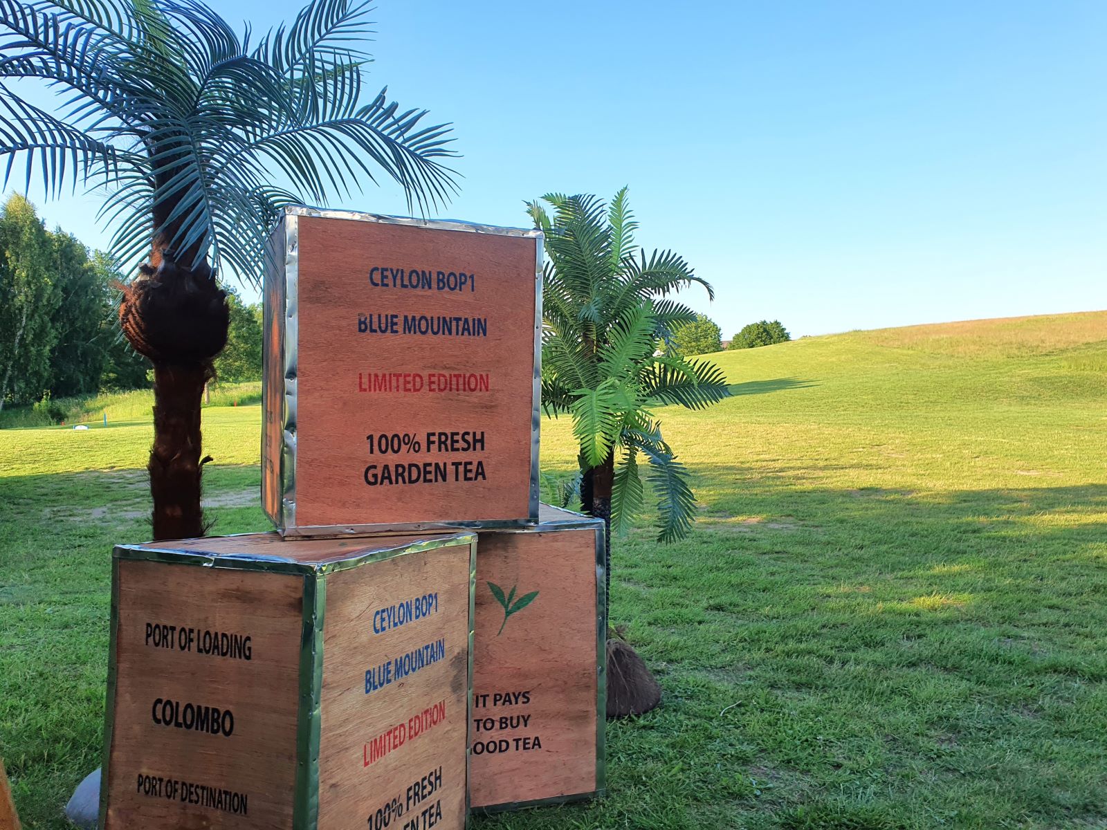 Teekisten – Bild 2