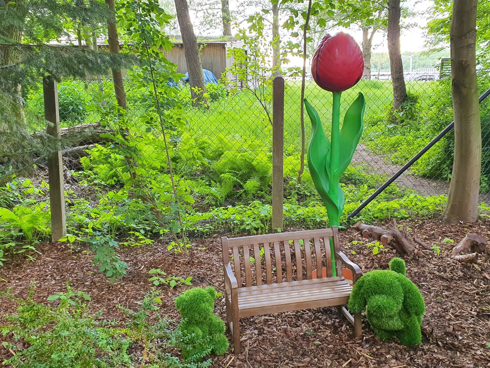 Tulpen XXL - Riesenblume ∗ No.22 – Bild 7