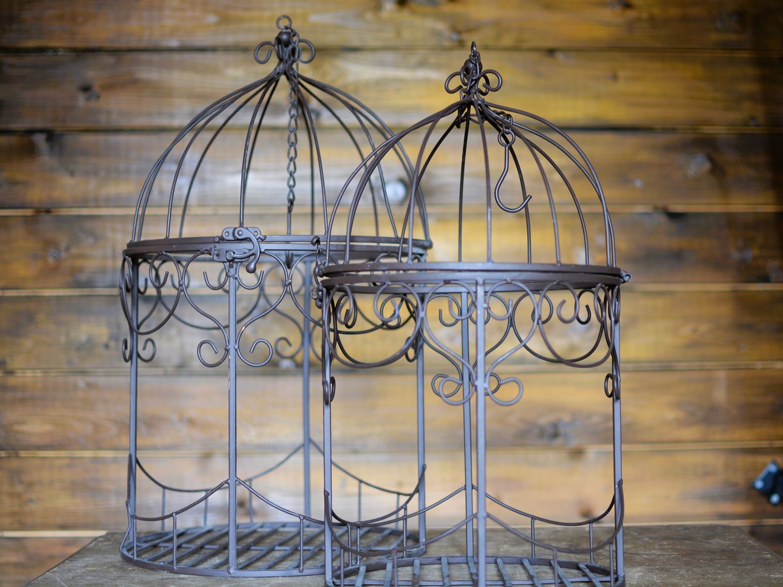 Vogelkäfig ∗ No.3