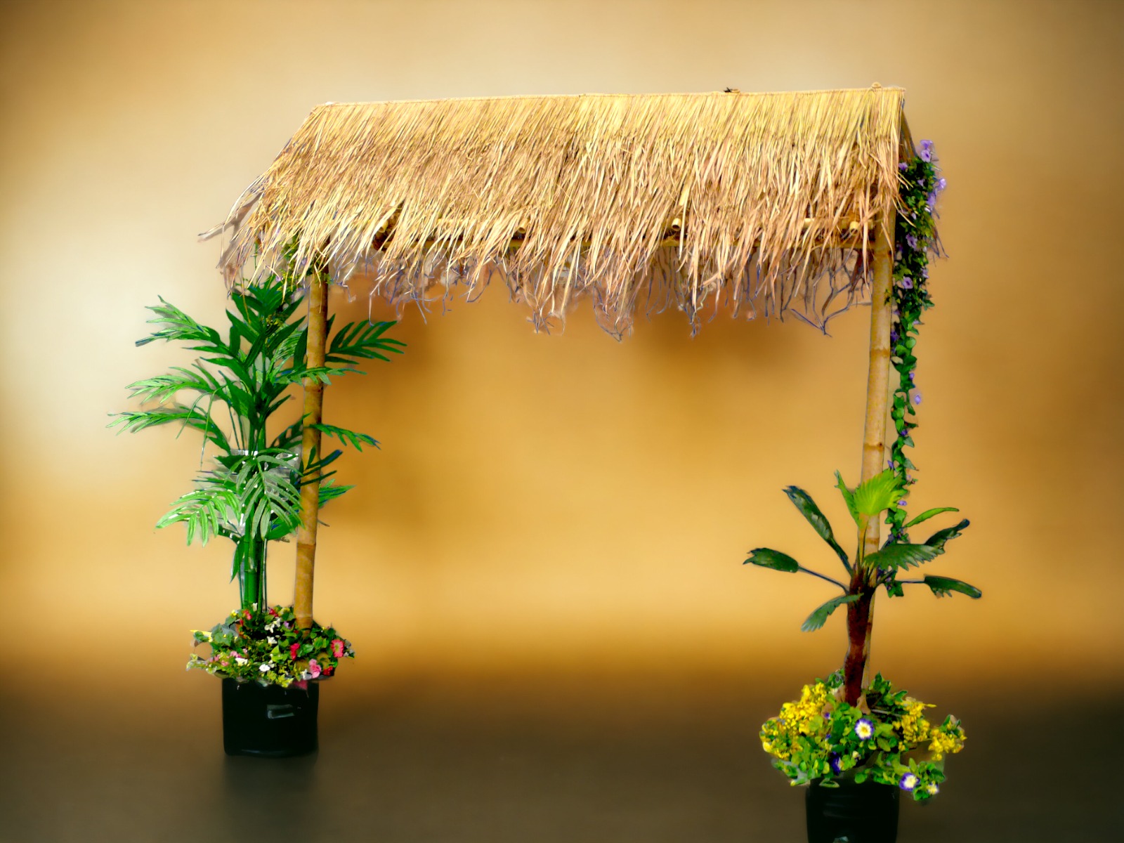 Palmendach Eingangstor