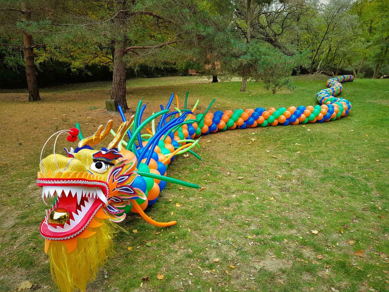 Chinesischer Tanz Drache  - Ballondrache – Bild 4