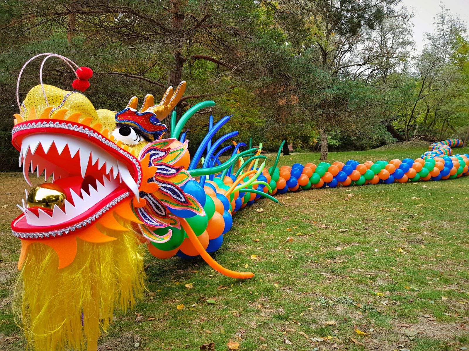 Chinesischer Tanz Drache  - Ballondrache – Bild 2