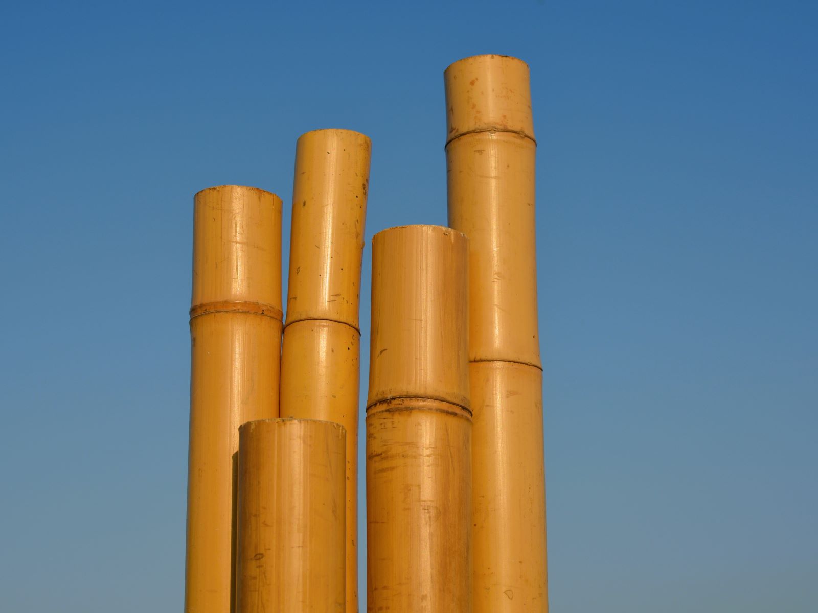 Bambus Stangen ∗ No.2