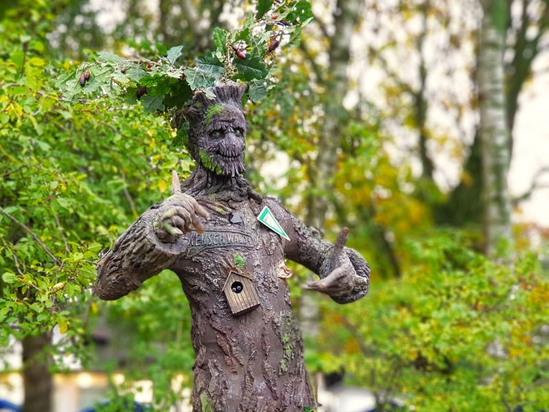 Der lebende Baum - Animation – Bild 2