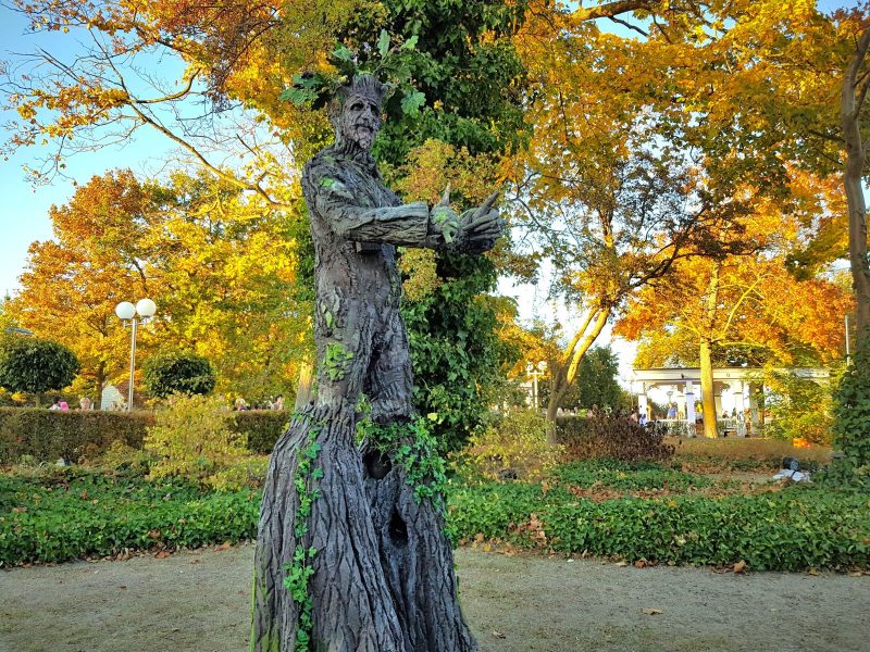 Der lebende Baum - Animation – Bild 4