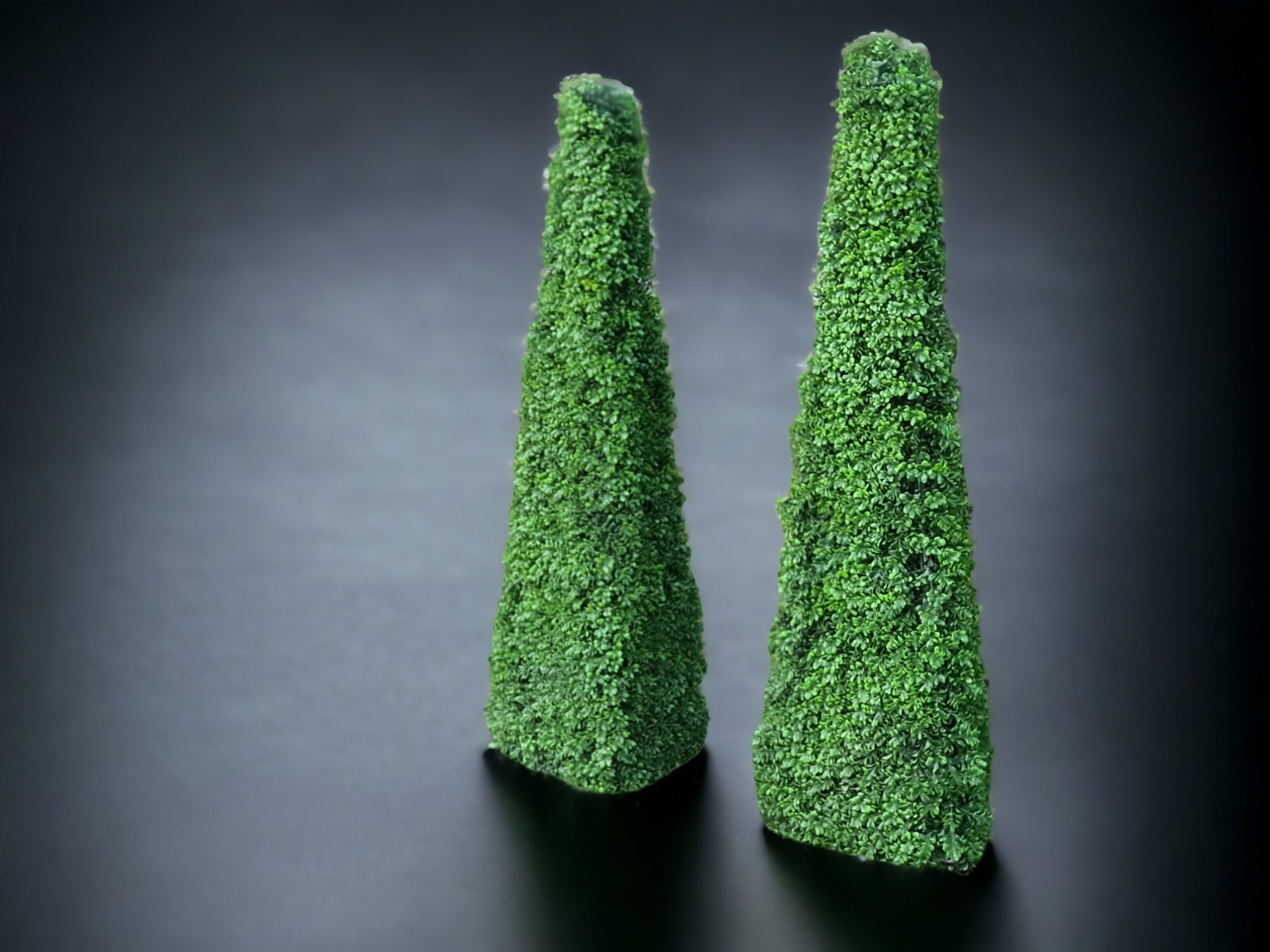 Buchsbaum - Pyramide ∗ No.2 – Bild 2