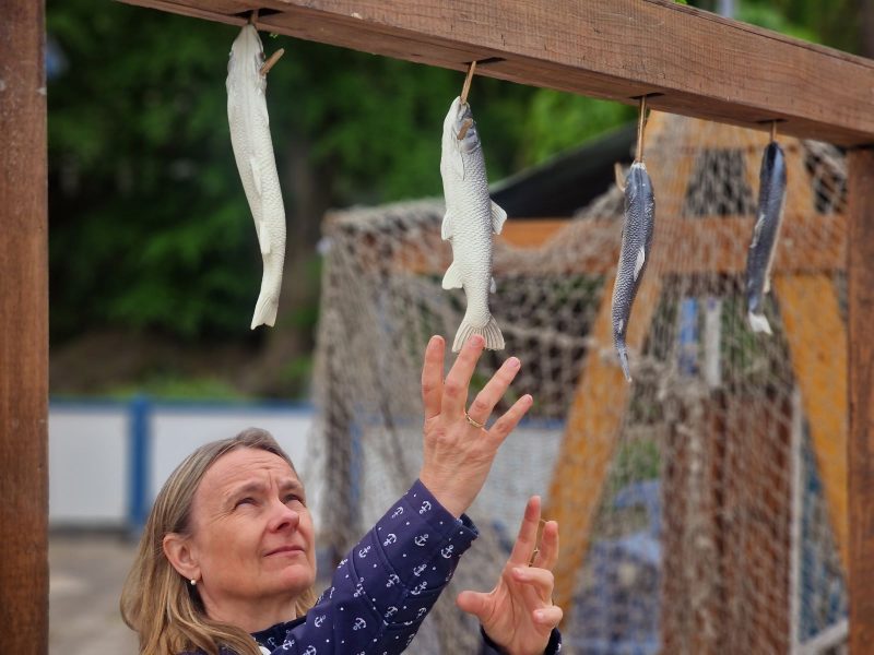 Fisch fangen - Geschicklichkeitsspiel