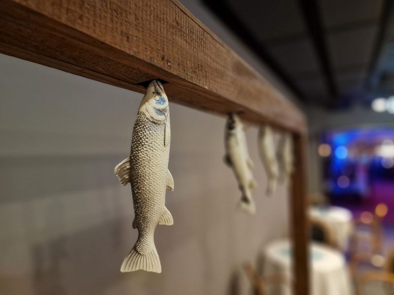 Fische fangen maritimes Spiel