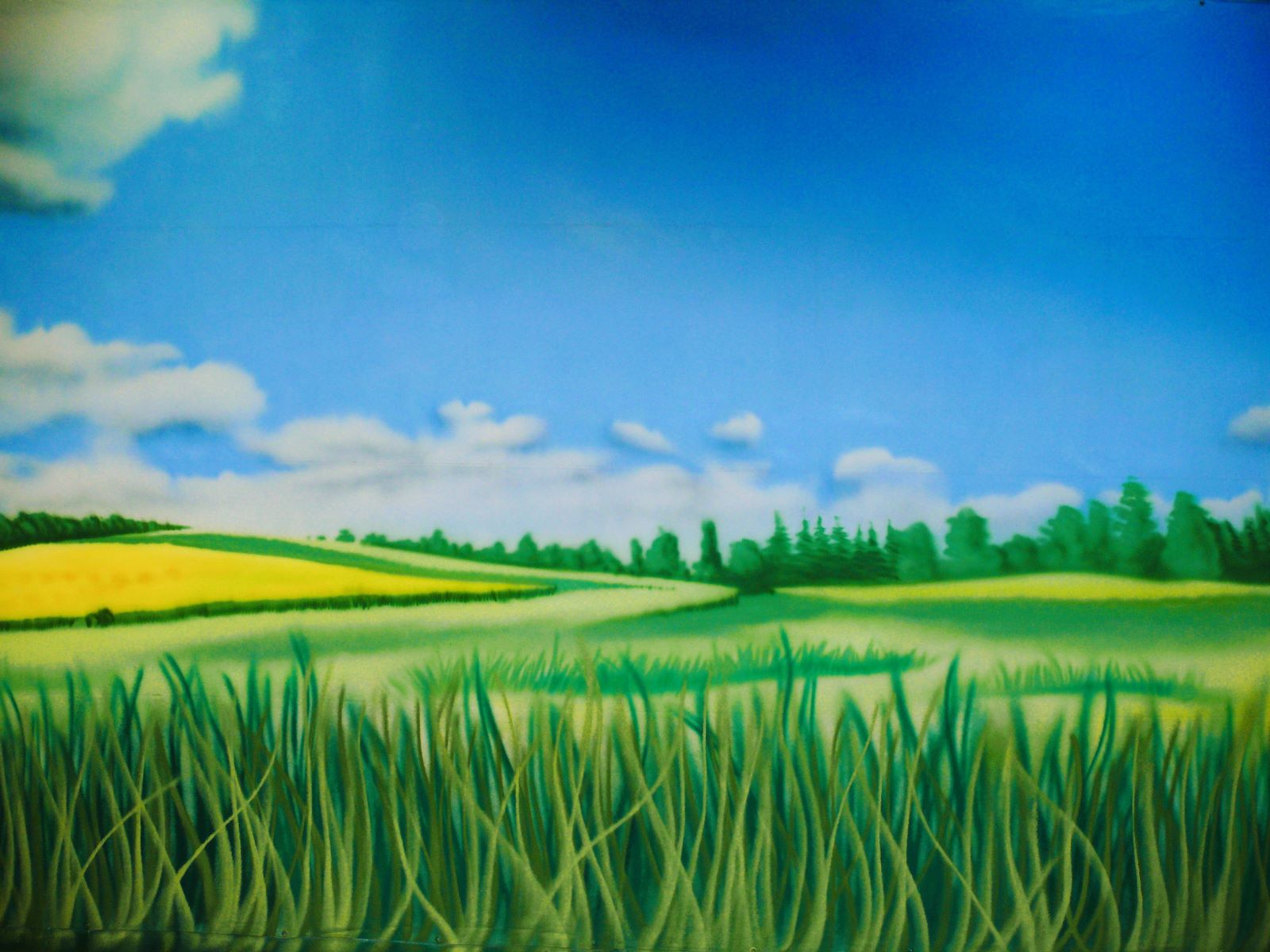 Wiese / Landschaft - Bühnenbild