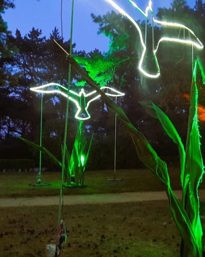 XXL Strandgras ∗ No.2b