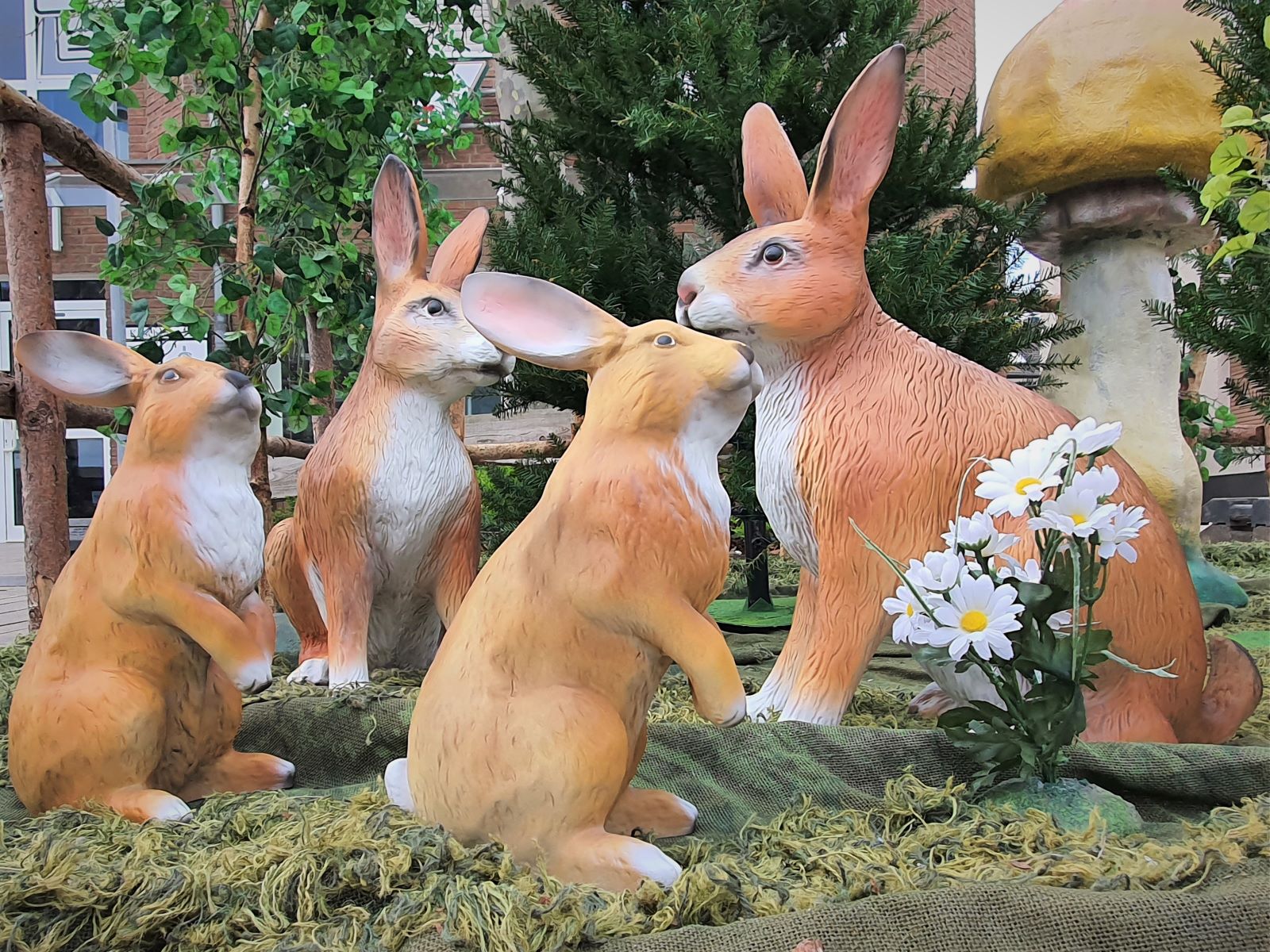 Hase klein ∗ No.8 – Bild 3