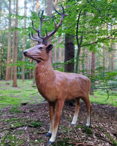 Dekoration Hirsch mieten