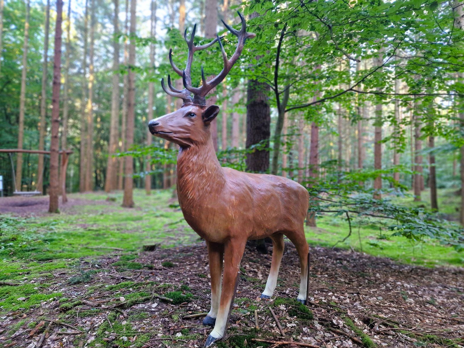 Dekoration Hirsch mieten