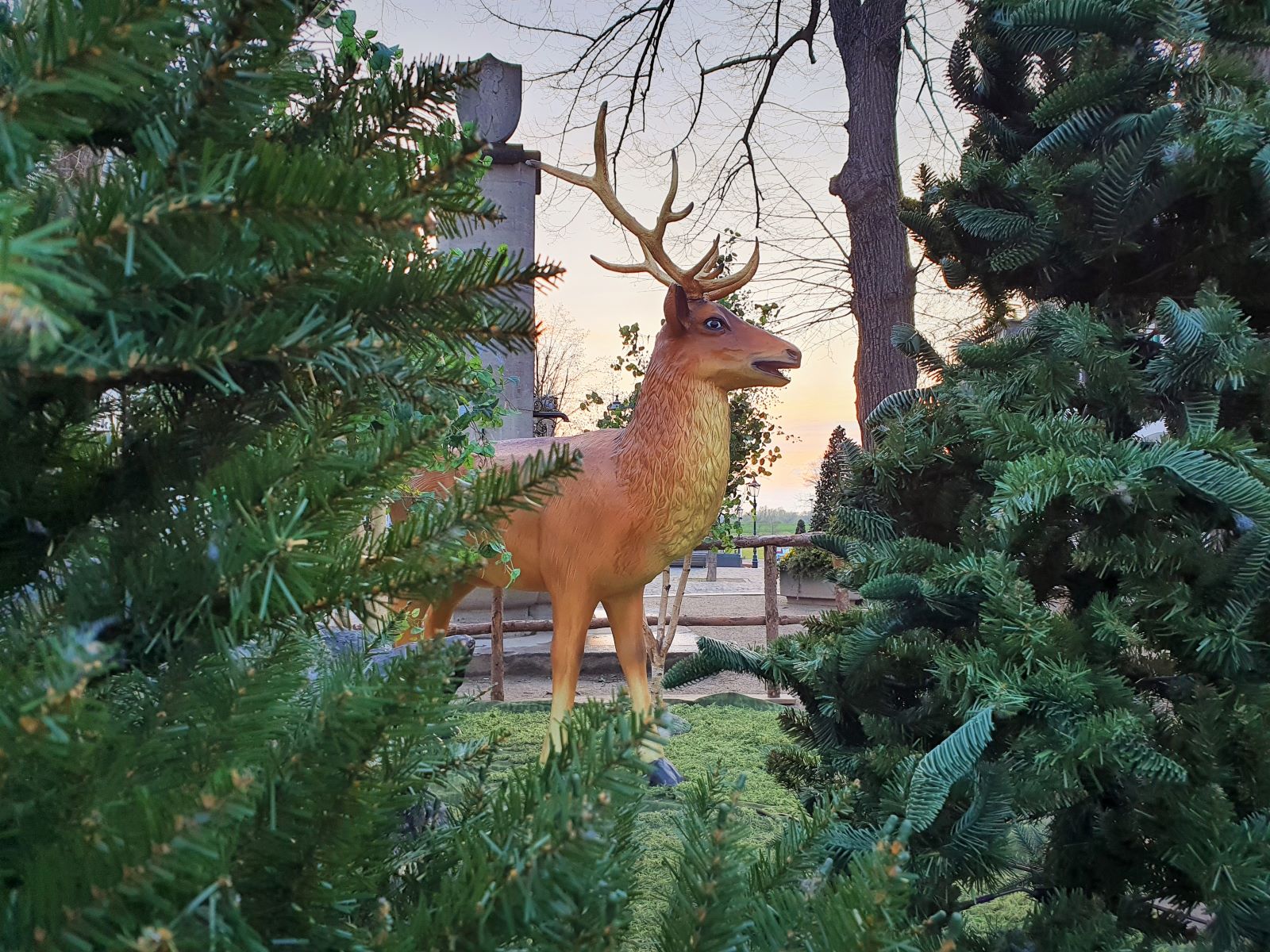 Hirsch ∗ No.1 – Bild 2