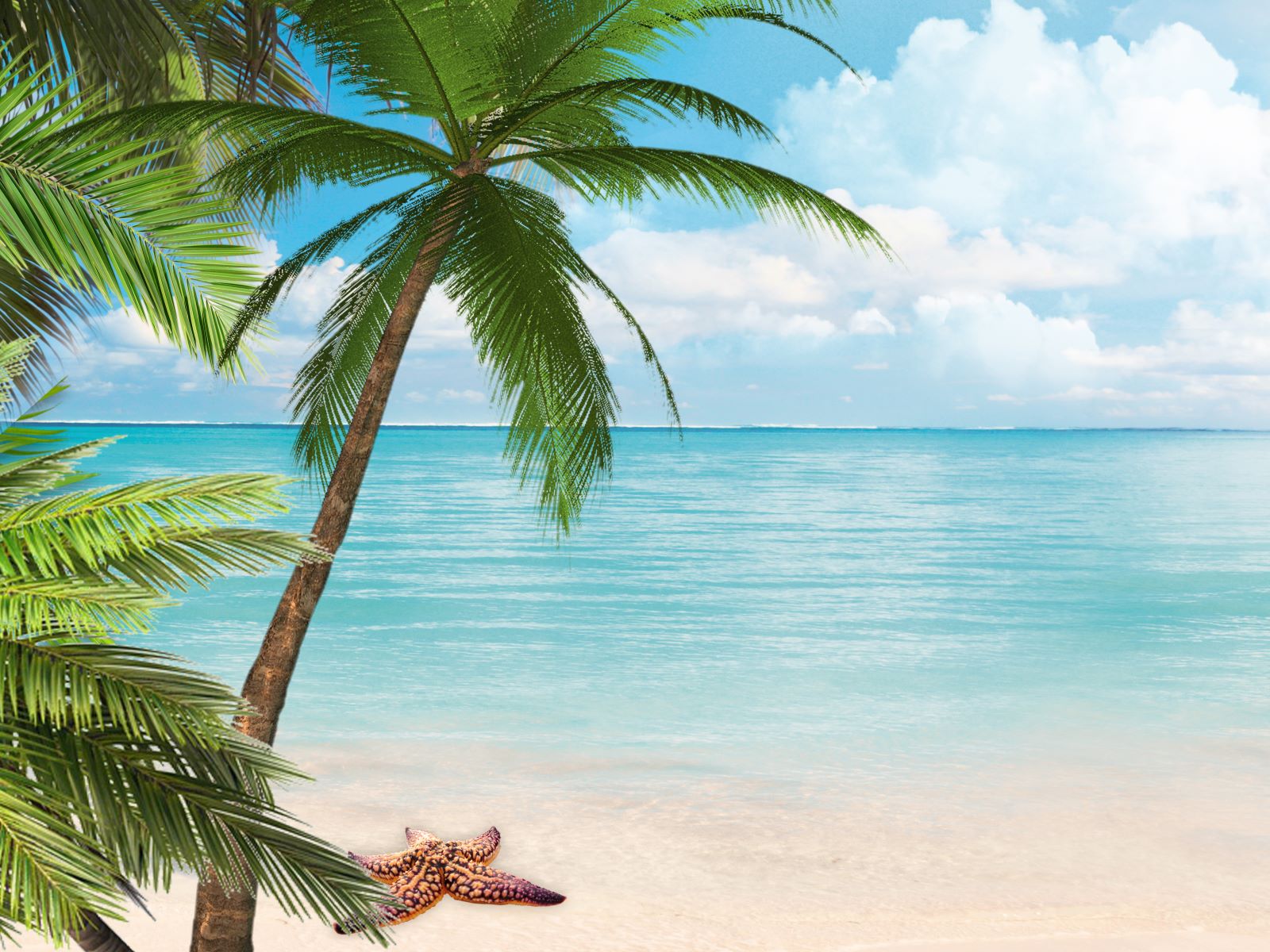 Strand - Karibik Bühnenbild ∗ No.7