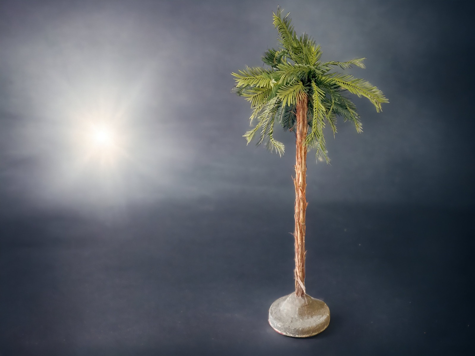 Palme - Kokospalme 2,20 m ∗ No.5