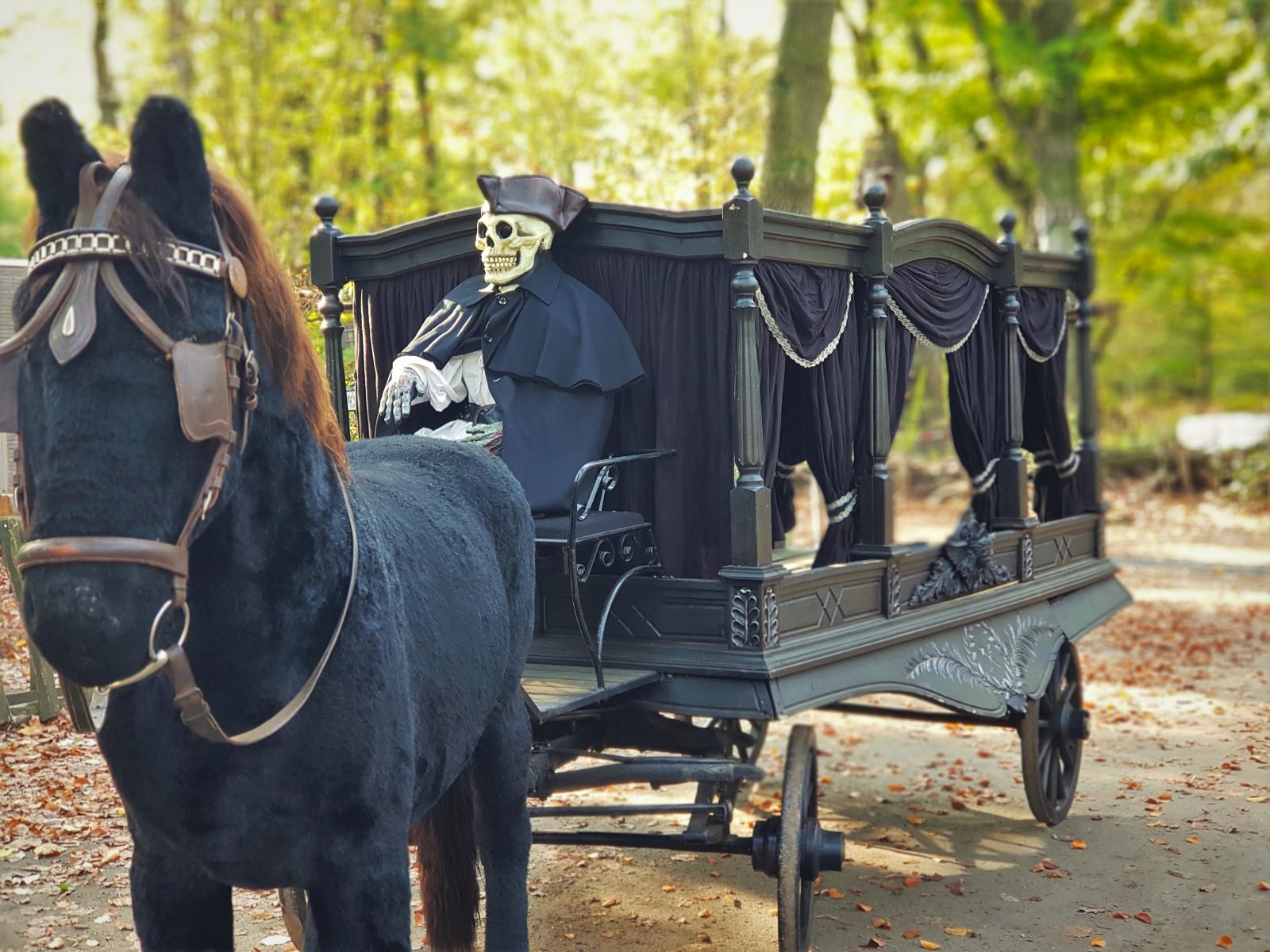 Schwarzes Pferd ∗ No.1 – Bild 3