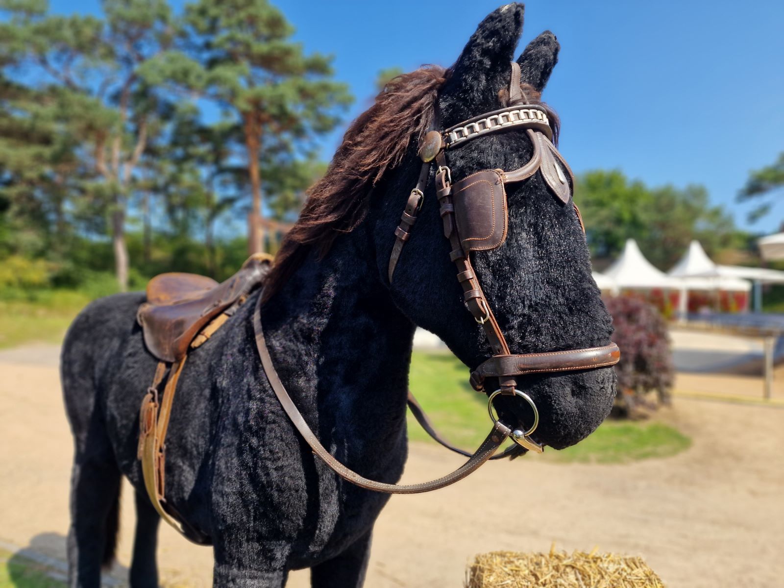 Dekoration Pferd mieten