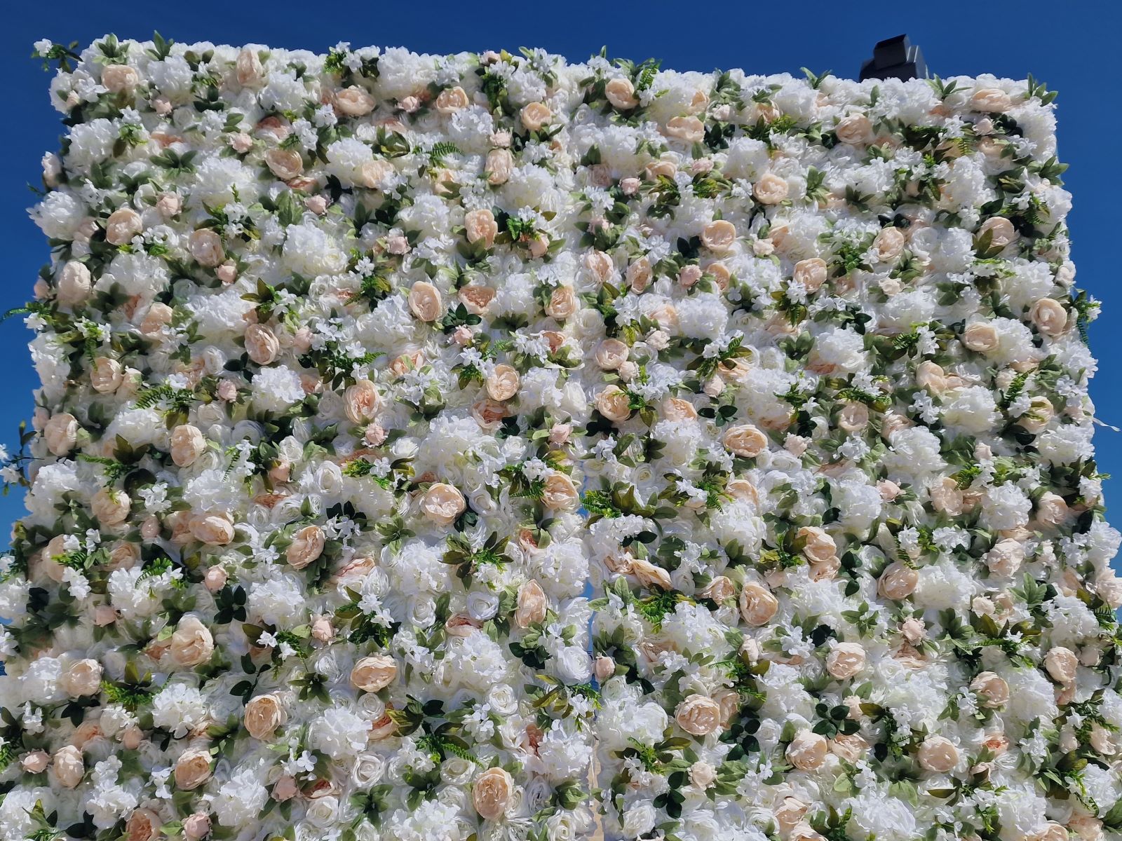 Rosenwand Hintergrund / Blumenwand - weiß/grün ∗ No.2 – Bild 4