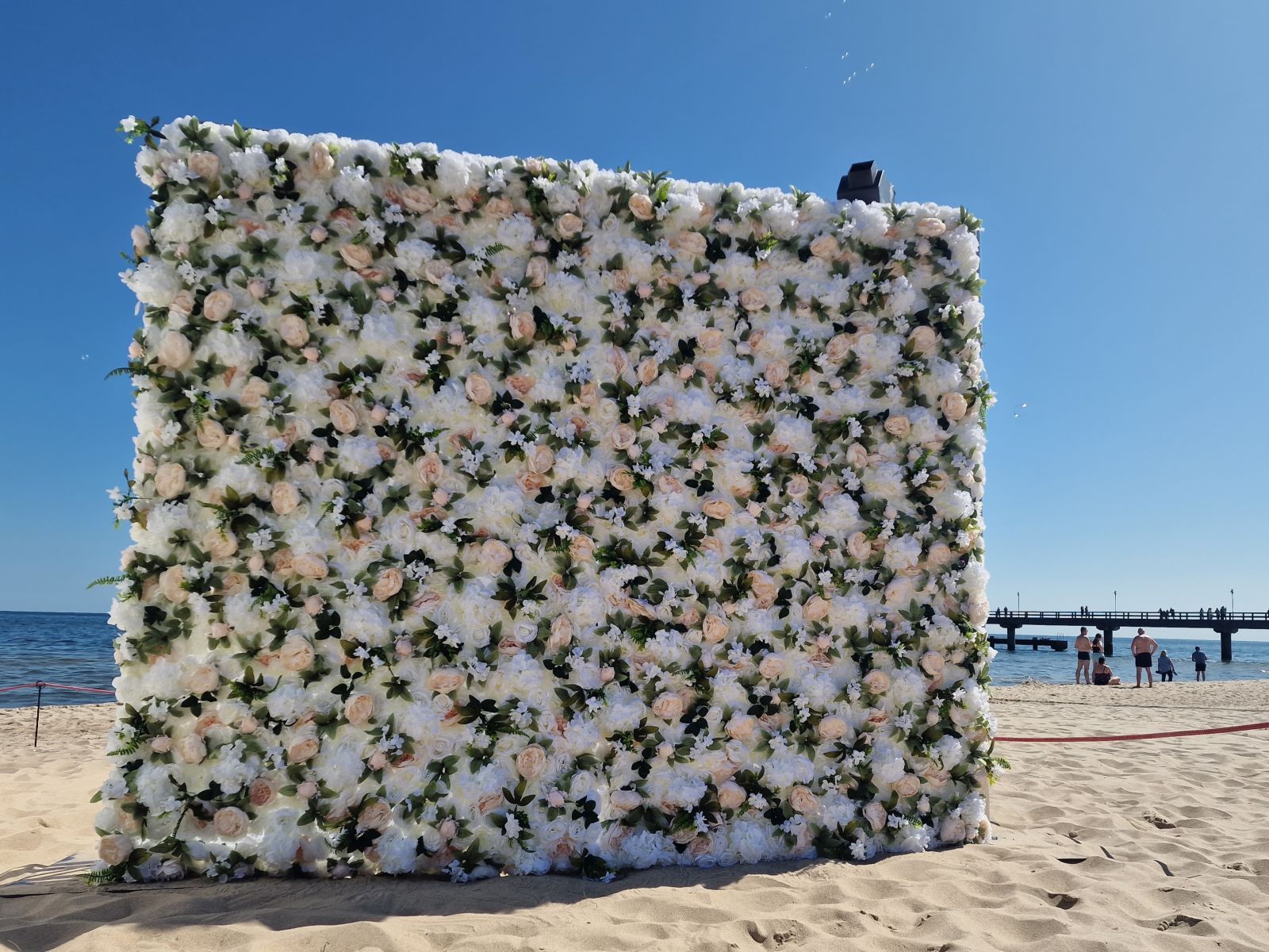 Rosenwand Hintergrund / Blumenwand - weiß/grün ∗ No.2